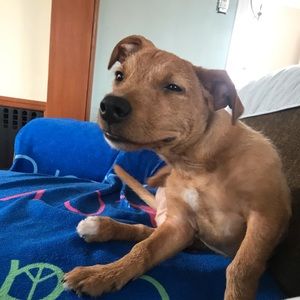 Meet your Posher, Dylan